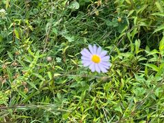 -山王坪喀斯特国家生态公园