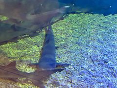 -华夏文旅西安度假区