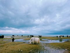 -青海湖国家重点风景名胜区