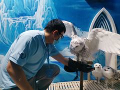 -成都浩海立方海洋公园