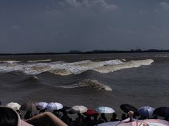 -观潮胜地公园
