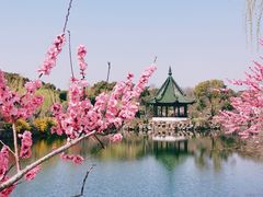 -无锡蠡湖国家湿地公园-蠡园