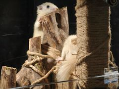 -太平洋海底世界