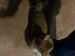 -逃脱反斗城沉浸剧情密室(北京路店)