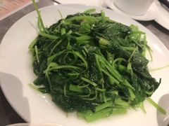 清炒豆苗-鼎泰丰(国贸商城店)