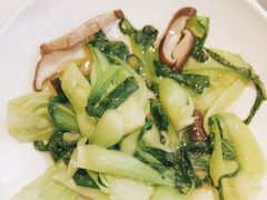 香菇炒菜心-渝信川菜(工体店)
