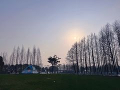 -阳澄湖费尔蒙酒店