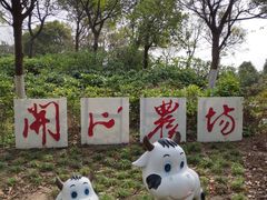 -上海滴水湖皇冠假日酒店