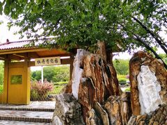 -黑龙江省森林植物园