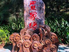 -北海金海湾红树林生态旅游区