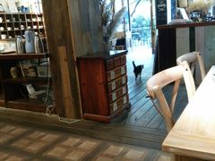 -蓝瓶子BlueBottle(东瓯智库店)