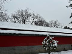 -白云观