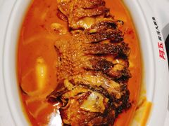红烧黄河大鲤鱼-阿五黄河大鲤鱼(海尚店)