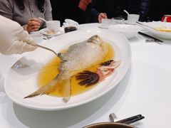 陈年花雕蒸鲥鱼-福1088