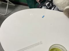 -团子家猫咪猫咖馆·柯基·柯尔鸭