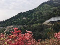 -木兰云雾山