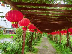 -同銮特种养殖场·龙虾垂钓