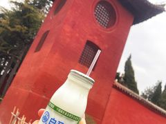 -洛阳白马寺