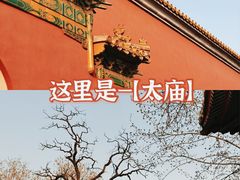 -北京市劳动人民文化宫