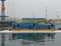 -秦皇岛乐岛海洋王国