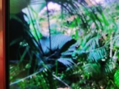 -郑州银基黄帝宫御温泉