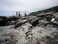 -盐洲岛