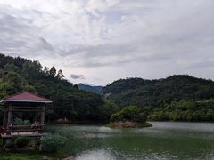 -广州白江湖森林公园