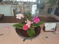 -轻武堂传统射箭·功夫茶·射击体验馆(仁和新城店)