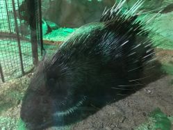 -酷嗒动物文化乐园(cutezoo西溪乐天城店)