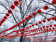-善卷洞风景区
