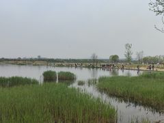 -绿堤公园