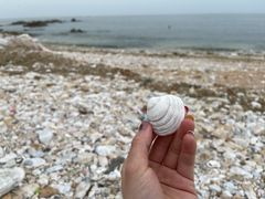-海岛日记(养马岛店)
