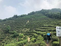 -西湖风景区十里琅珰-五云山