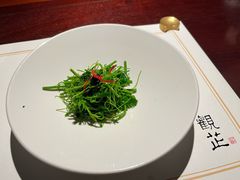 玉琅玕-觀芷隐轩