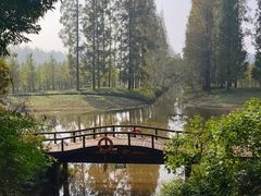 -黄海国家森林公园