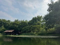 -西湖游船
