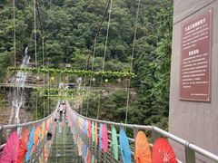 -九龙江国家森林公园