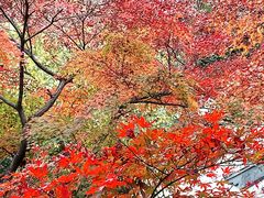 -狼山风景名胜区