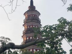 -顺峰山公园