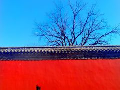 -历代帝王庙博物馆