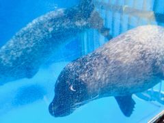 -成都浩海立方海洋公园