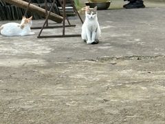 -西溪南古村落