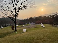 -福建鲤鱼洲酒店