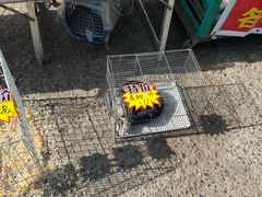 -中环花鸟鱼虫市场