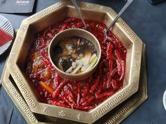 -蜀九香火锅(李家沱店)