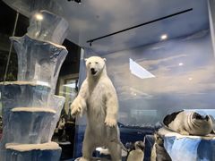 -国家自然博物馆