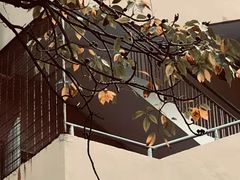 -T館·花园艺术餐厅