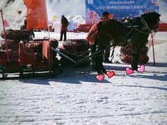 -蓟县盘山滑雪场