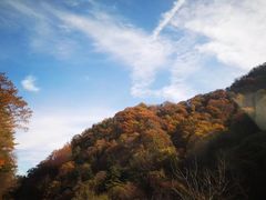-秦岭风景区