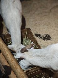 -Zoolung Zoolung动物主题公园(海信广场店)